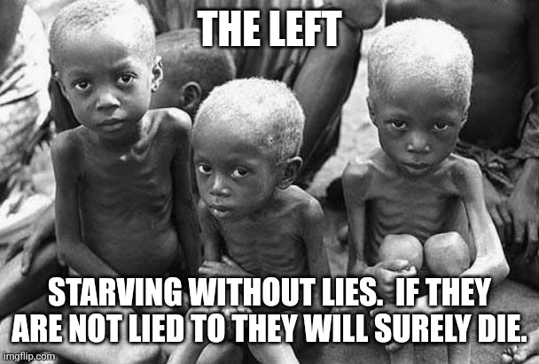 starving africans | THE LEFT STARVING WITHOUT LIES.  IF THEY ARE NOT LIED TO THEY WILL SURELY DIE. | image tagged in starving africans | made w/ Imgflip meme maker