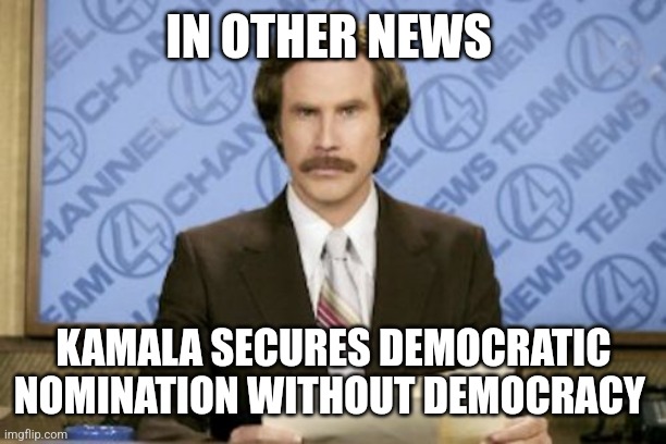Ron Burgundy | IN OTHER NEWS; KAMALA SECURES DEMOCRATIC NOMINATION WITHOUT DEMOCRACY | image tagged in memes,ron burgundy | made w/ Imgflip meme maker