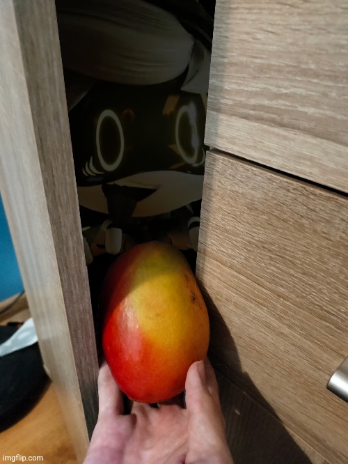 GUYS HELP! ITS IN MY WARDROBE AND HAS ALREADY EATEN ABOUT 50 MANGOES!!!! | made w/ Imgflip meme maker