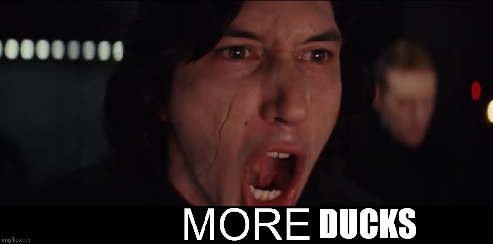 Kylo Ren MORE | DUCKS | image tagged in kylo ren more | made w/ Imgflip meme maker