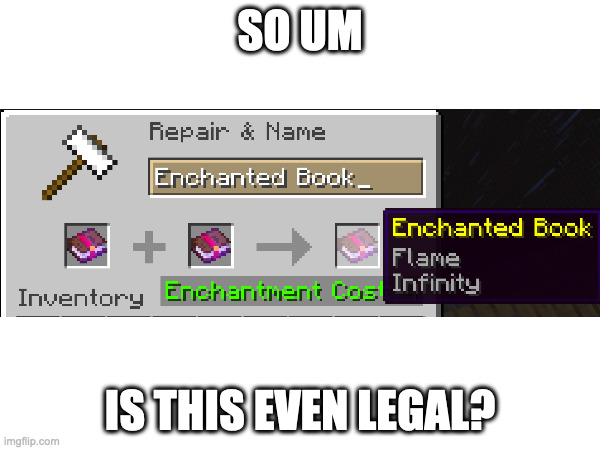 what | SO UM; IS THIS EVEN LEGAL? | image tagged in minecraft | made w/ Imgflip meme maker