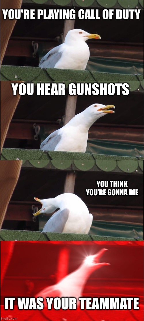 Inhaling Seagull Meme | YOU'RE PLAYING CALL OF DUTY; YOU HEAR GUNSHOTS; YOU THINK YOU’RE GONNA DIE; IT WAS YOUR TEAMMATE | image tagged in memes,inhaling seagull | made w/ Imgflip meme maker