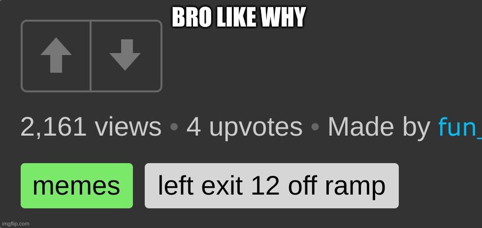 BRO LIKE WHY | image tagged in imgflip users | made w/ Imgflip meme maker