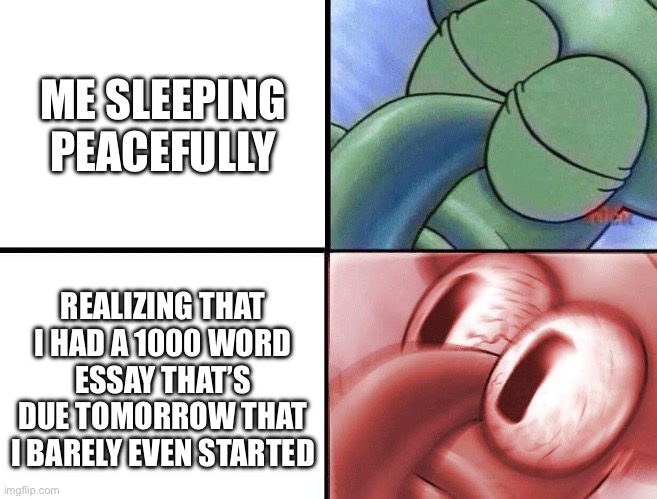 sleeping Squidward | ME SLEEPING PEACEFULLY; REALIZING THAT I HAD A 1000 WORD ESSAY THAT’S DUE TOMORROW THAT I BARELY EVEN STARTED | image tagged in sleeping squidward | made w/ Imgflip meme maker