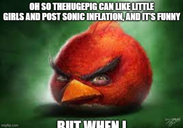 Realistic Red Angry Birds | OH SO THEHUGEPIG CAN LIKE LITTLE GIRLS AND POST SONIC INFLATION, AND IT'S FUNNY; BUT WHEN I | image tagged in realistic red angry birds | made w/ Imgflip meme maker