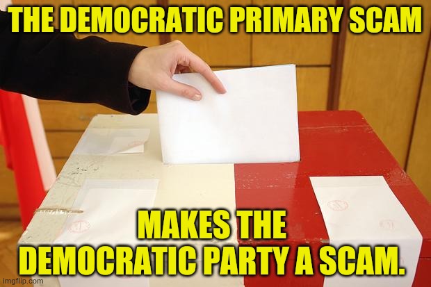 The Democratic Scammers | THE DEMOCRATIC PRIMARY SCAM; MAKES THE DEMOCRATIC PARTY A SCAM. | image tagged in vote,primary,make,democratic socialism,scam,memes | made w/ Imgflip meme maker