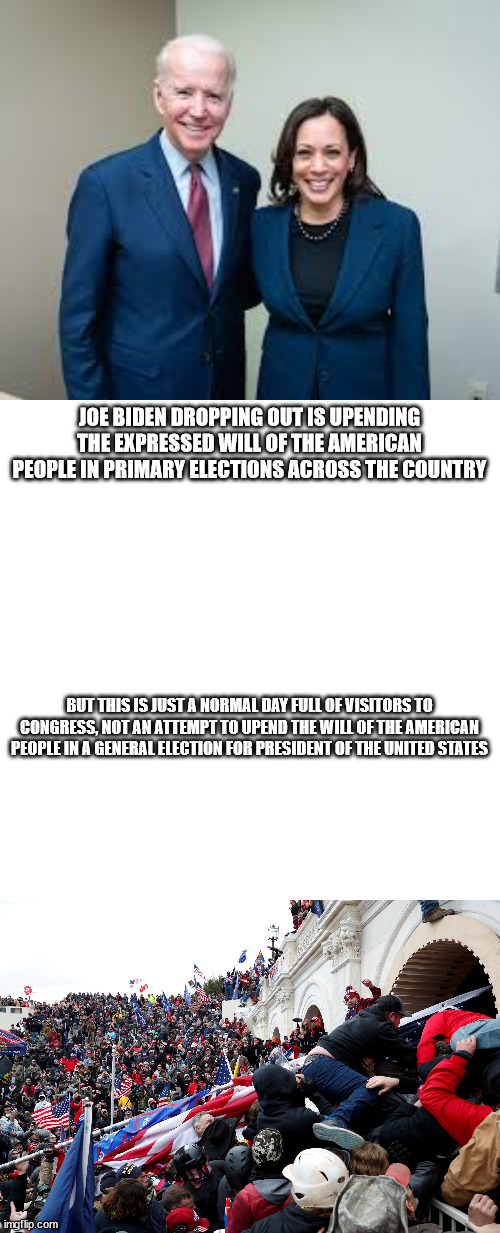 Irony | JOE BIDEN DROPPING OUT IS UPENDING THE EXPRESSED WILL OF THE AMERICAN PEOPLE IN PRIMARY ELECTIONS ACROSS THE COUNTRY; BUT THIS IS JUST A NORMAL DAY FULL OF VISITORS TO CONGRESS, NOT AN ATTEMPT TO UPEND THE WILL OF THE AMERICAN PEOPLE IN A GENERAL ELECTION FOR PRESIDENT OF THE UNITED STATES | image tagged in political meme | made w/ Imgflip meme maker