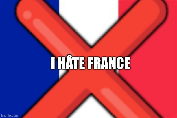 I hâte france | ❌; I HÂTE FRANCE | image tagged in france flag | made w/ Imgflip meme maker