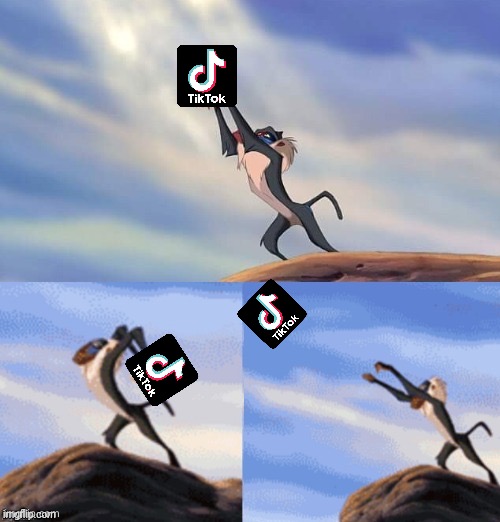 Simba Rafiki Lion King  | image tagged in simba rafiki lion king,tiktok sucks,tik tok sucks | made w/ Imgflip meme maker