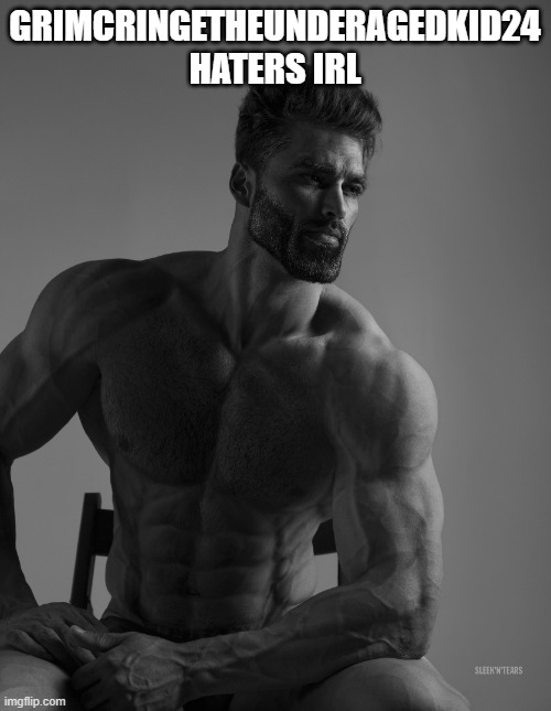 Giga Chad | GRIMCRINGETHEUNDERAGEDKID24 HATERS IRL | image tagged in giga chad | made w/ Imgflip meme maker