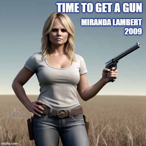 Guns | TIME TO GET A GUN; MIRANDA LAMBERT
2009 | image tagged in 2nd amendment,miranda lambert,music,gun rights,right to bear arms | made w/ Imgflip meme maker