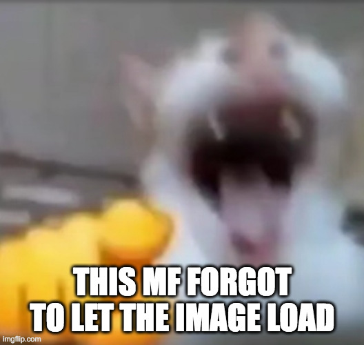 Cat pointing and laughing | THIS MF FORGOT TO LET THE IMAGE LOAD | image tagged in cat pointing and laughing | made w/ Imgflip meme maker