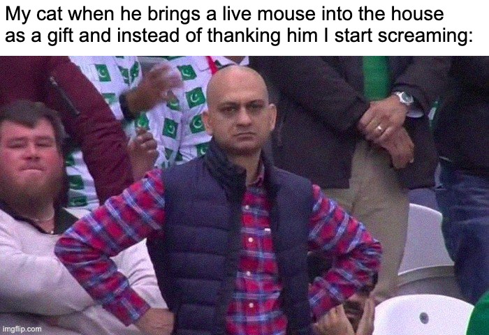 So ungrateful | My cat when he brings a live mouse into the house as a gift and instead of thanking him I start screaming: | image tagged in angry pakistani fan,cat,mouse | made w/ Imgflip meme maker