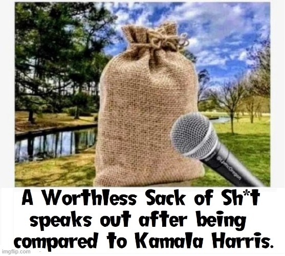 Someone Somewhere has to take a Stand! | image tagged in vince vance,kamala harris,memes,potato,sack,excrement | made w/ Imgflip meme maker