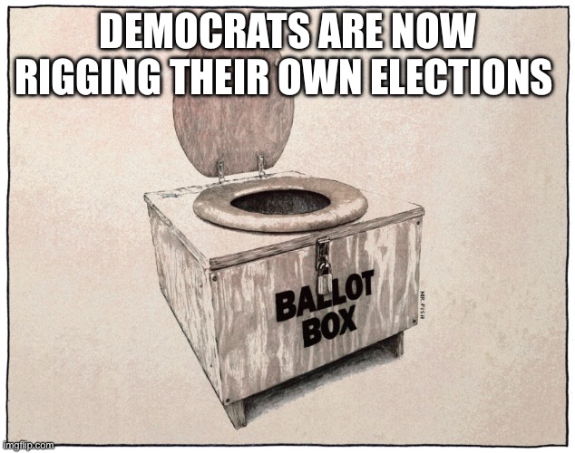 They can’t stand failures, even internal ones | DEMOCRATS ARE NOW RIGGING THEIR OWN ELECTIONS | image tagged in ballot box | made w/ Imgflip meme maker