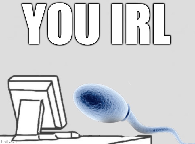 Sperm sitting at computer | YOU IRL | image tagged in sperm sitting at computer | made w/ Imgflip meme maker
