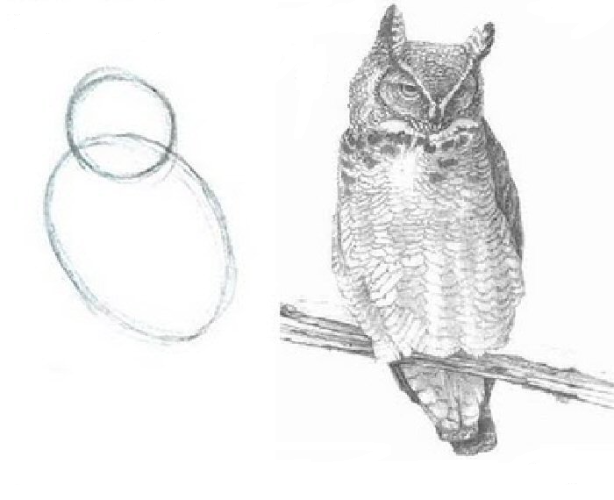 High Quality How to draw an owl Blank Meme Template