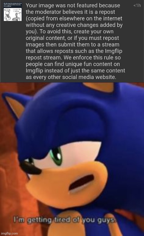 So they allowed something completely not political like shitposts, but not a political meme? | image tagged in sonic im getting tired of you guys | made w/ Imgflip meme maker
