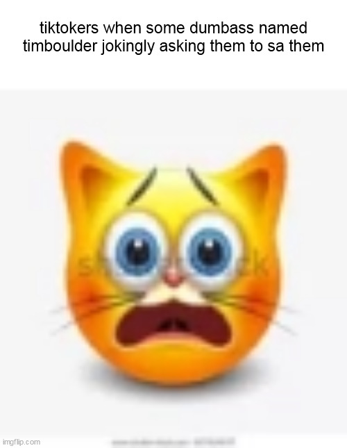 cat stock emoji scared | tiktokers when some dumbass named timboulder jokingly asking them to sa them | image tagged in cat stock emoji scared | made w/ Imgflip meme maker
