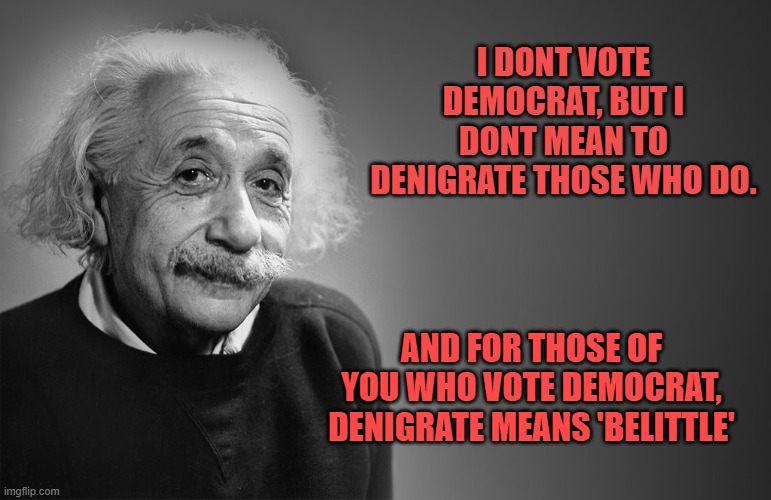 albert einstein quotes | I DONT VOTE DEMOCRAT, BUT I DONT MEAN TO DENIGRATE THOSE WHO DO. AND FOR THOSE OF YOU WHO VOTE DEMOCRAT, DENIGRATE MEANS 'BELITTLE' | image tagged in albert einstein quotes | made w/ Imgflip meme maker