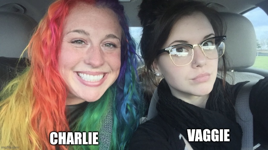 Couple goals | CHARLIE; VAGGIE | image tagged in rainbow hair and goth,hazbin hotel | made w/ Imgflip meme maker
