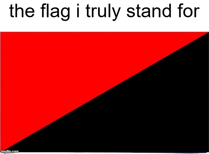 the flag | the flag i truly stand for | image tagged in communist,anarchist,flag,red,black | made w/ Imgflip meme maker