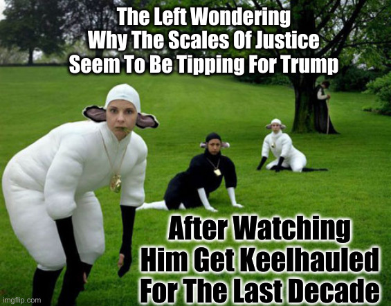 Dumbfounded | The Left Wondering Why The Scales Of Justice Seem To Be Tipping For Trump; After Watching Him Get Keelhauled For The Last Decade | image tagged in sheeple,political meme,politics,funny memes,funny | made w/ Imgflip meme maker