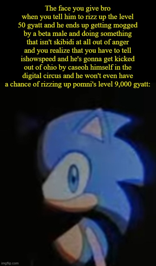 Sonic Side Eye | The face you give bro when you tell him to rizz up the level 50 gyatt and he ends up getting mogged by a beta male and doing something that isn't skibidi at all out of anger and you realize that you have to tell ishowspeed and he's gonna get kicked out of ohio by caseoh himself in the digital circus and he won't even have a chance of rizzing up pomni's level 9,000 gyatt: | image tagged in sonic side eye | made w/ Imgflip meme maker