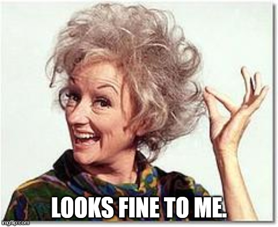 LOOKS FINE TO ME. | made w/ Imgflip meme maker