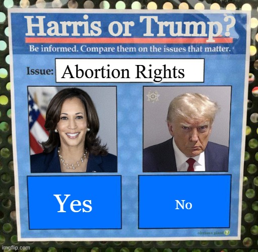 Harris or Trump on Abortion Rights | Abortion Rights; Yes; No | image tagged in harris or trump on the issues 2024 election,politics,political meme,politics lol | made w/ Imgflip meme maker