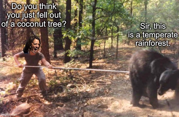 Poking the bear | Do you think you just fell out of a coconut tree? Sir, this is a temperate rainforest. | image tagged in poking the bear | made w/ Imgflip meme maker