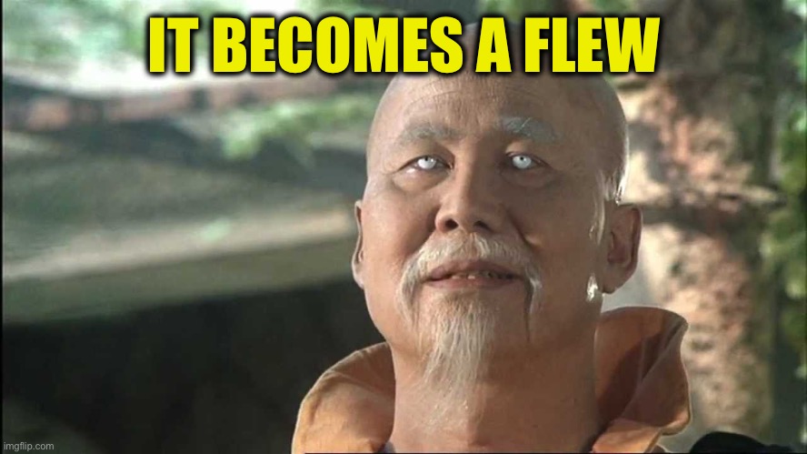 Kung Fu Po | IT BECOMES A FLEW | image tagged in kung fu po | made w/ Imgflip meme maker