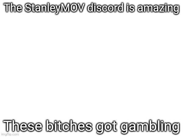 The StanleyMOV discord is amazing; These bitches got gambling | made w/ Imgflip meme maker