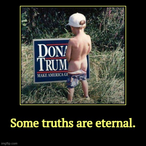 Trump won the popular vote by 1.5%. That's not much. | Some truths are eternal. | | image tagged in funny,demotivationals,trump,sign,boy,truth | made w/ Imgflip demotivational maker