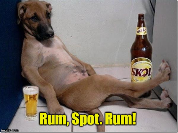 Drunk dog | Rum, Spot. Rum! | image tagged in drunk dog | made w/ Imgflip meme maker