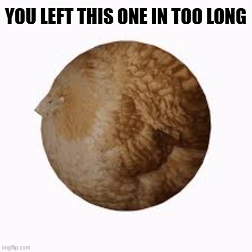 YOU LEFT THIS ONE IN TOO LONG | made w/ Imgflip meme maker