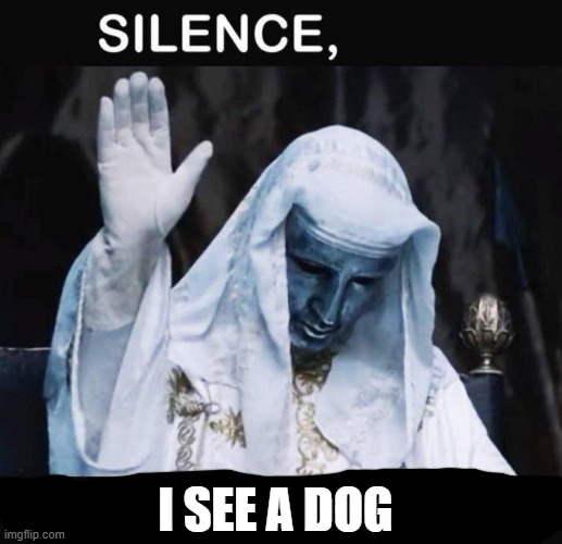 Silence X, a Y is talking | I SEE A DOG | image tagged in silence x a y is talking | made w/ Imgflip meme maker