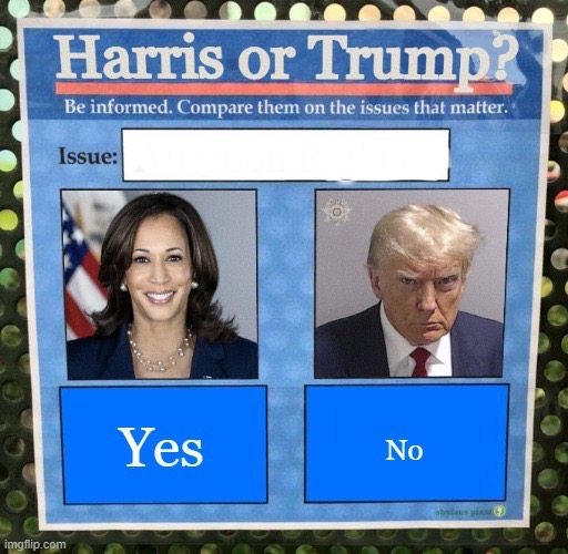 Harris or Trump Blank Meme Template