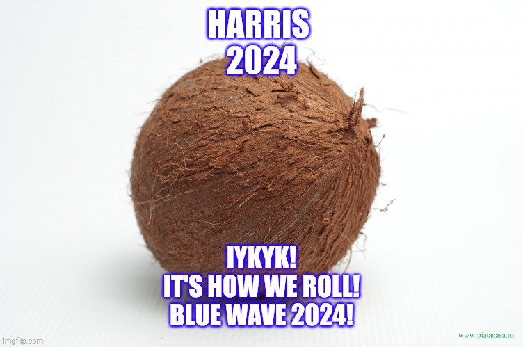 coconut | HARRIS 
2024; IYKYK!
IT'S HOW WE ROLL!
BLUE WAVE 2024! | image tagged in coconut | made w/ Imgflip meme maker