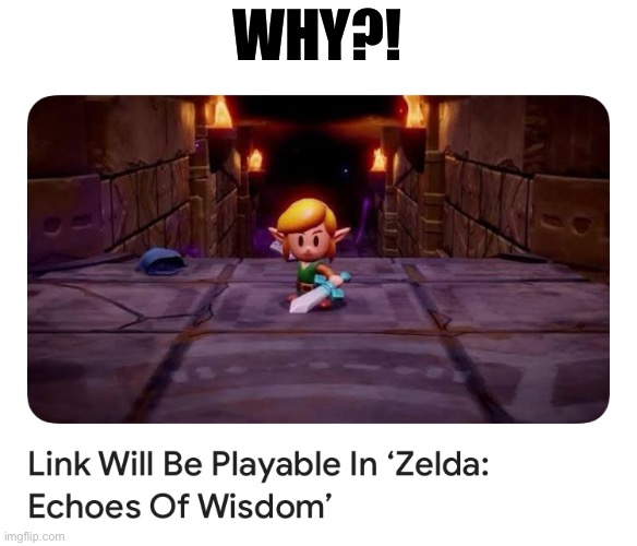 The whole point was that we play as Zelda for the first time ever! | WHY?! | made w/ Imgflip meme maker