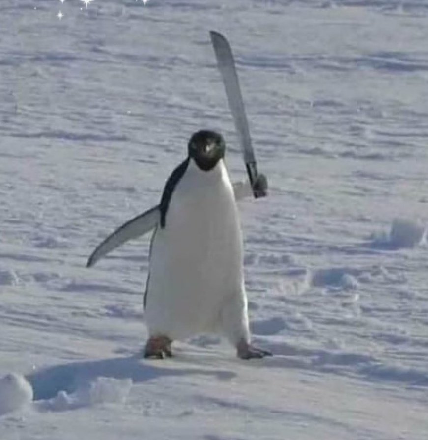 High Quality Penguin knife Blank Meme Template