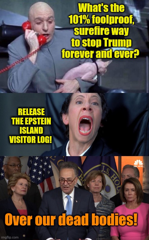 What's the 101% foolproof, surefire way to stop Trump forever and ever? RELEASE THE EPSTEIN ISLAND VISITOR LOG! Over our dead bodies! | image tagged in dr evil and frau,democrat congressmen | made w/ Imgflip meme maker