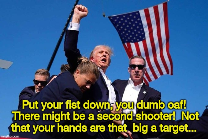 tiny hands under fire | Put your fist down, you dumb oaf!  There might be a second shooter!  Not that your hands are that  big a target... | image tagged in trump shot | made w/ Imgflip meme maker