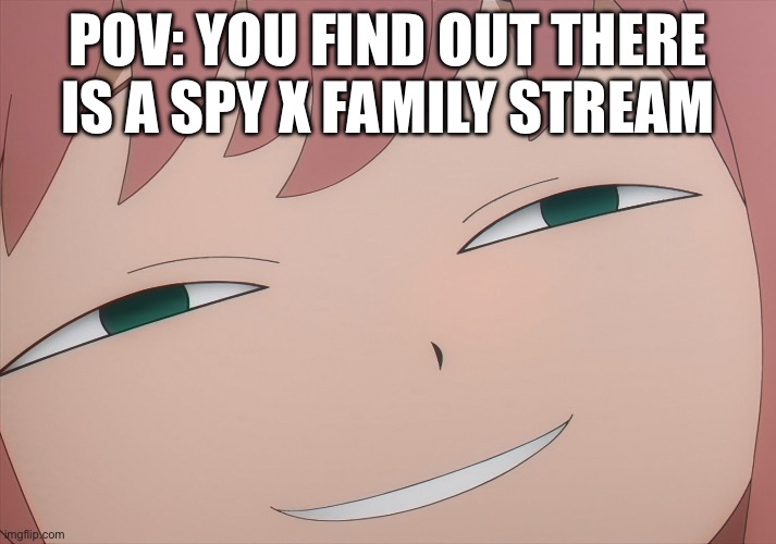 HELLO NEW STREAM! | POV: YOU FIND OUT THERE IS A SPY X FAMILY STREAM | image tagged in anya smug | made w/ Imgflip meme maker