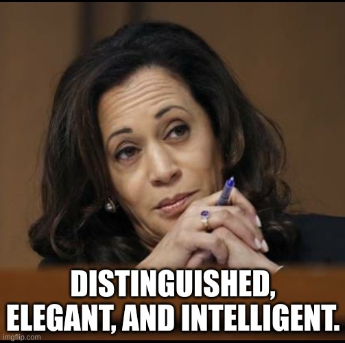 DEI | DISTINGUISHED, ELEGANT, AND INTELLIGENT. | image tagged in kamala harris | made w/ Imgflip meme maker