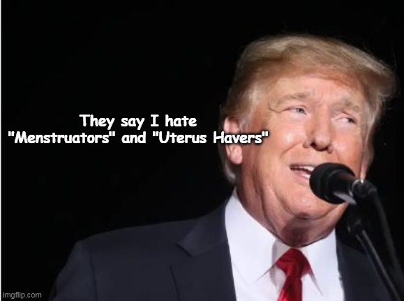 They say I hate "Menstruators" and "Uterus Havers" | made w/ Imgflip meme maker