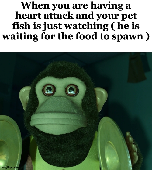 Toy Story Monkey | When you are having a heart attack and your pet fish is just watching ( he is waiting for the food to spawn ) | image tagged in toy story monkey | made w/ Imgflip meme maker