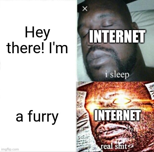 whoops | Hey there! I'm; INTERNET; a furry; INTERNET | image tagged in memes,sleeping shaq | made w/ Imgflip meme maker