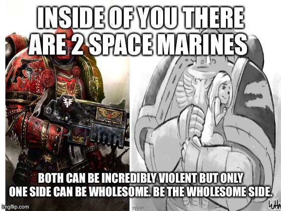 Be a salamander not a blood raven | INSIDE OF YOU THERE ARE 2 SPACE MARINES; BOTH CAN BE INCREDIBLY VIOLENT BUT ONLY ONE SIDE CAN BE WHOLESOME. BE THE WHOLESOME SIDE. | image tagged in wholesome,warhammer40k,salamander,for the emperor | made w/ Imgflip meme maker