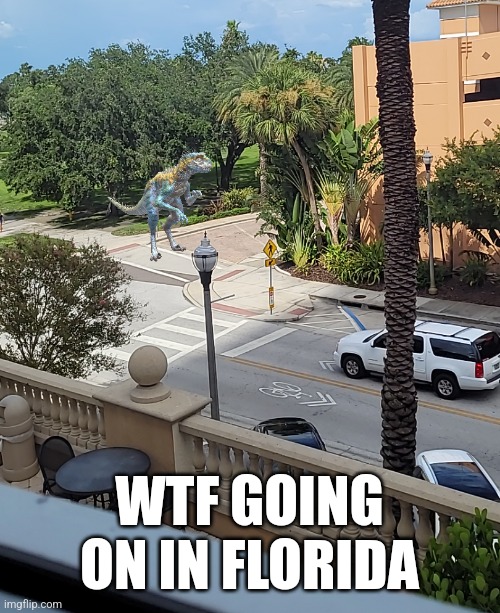 WTF GOING ON IN FLORIDA | made w/ Imgflip meme maker